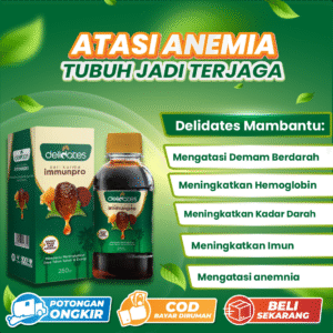 Delidates Sari Kurma